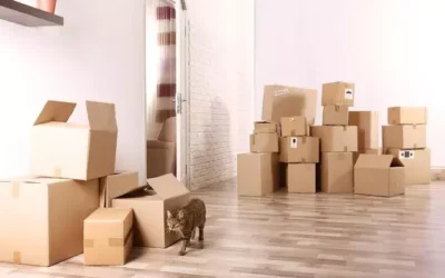 Serviço de Mudança 5 Estrelas: O Que Avaliar na Hora de Contratar