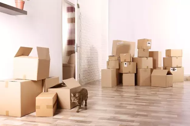 Serviço de Mudança 5 Estrelas: O Que Avaliar na Hora de Contratar