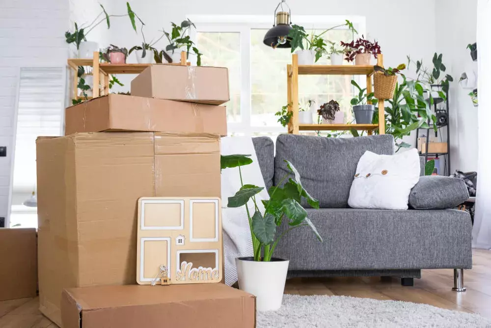 Passo a Passo para Contratar uma Empresa de Mudança Confiável e Completa na Zona Sul do Rio de Janeiro Passo a Passo para Contratar uma Empresa de Mudança Confiável e Completa na Zona Sul do Rio de Janeiro